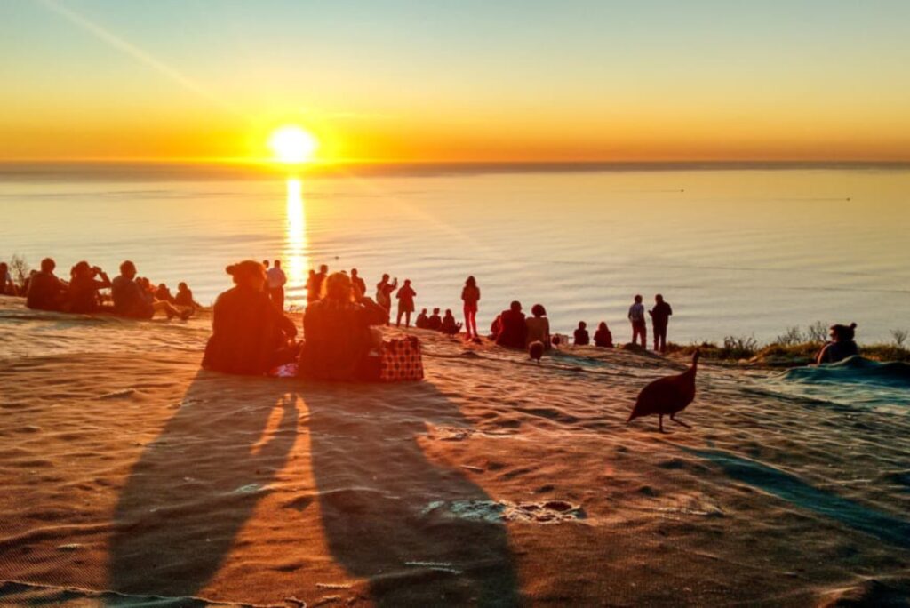 SVN EMPORIUM SIGNAL HILL